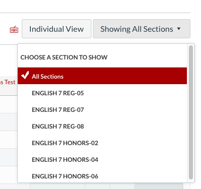Pick a section in Canvas.